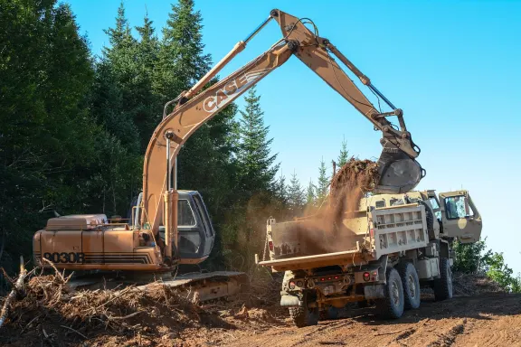 BingoCafe Casino Soporte